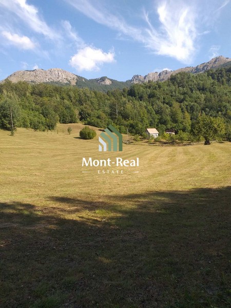 1659526629-viber_slika_2022-08-03_12-36-21-803.jpg