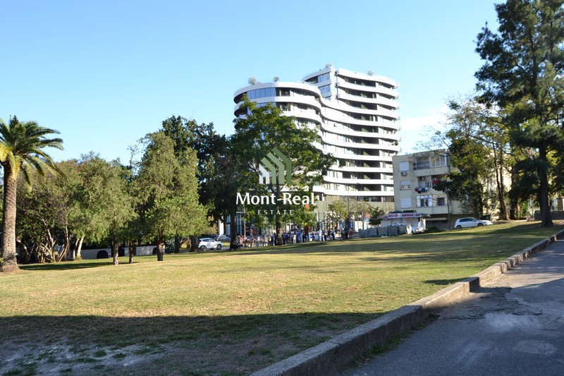 1665478941-DSC_3169.JPG