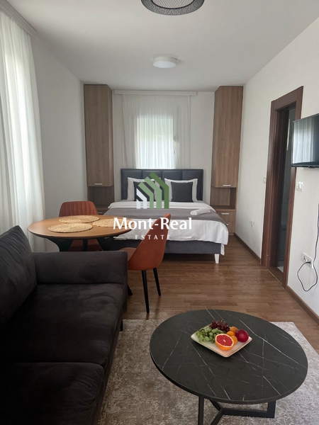 Studio apartment for rent in Budva IS187BD